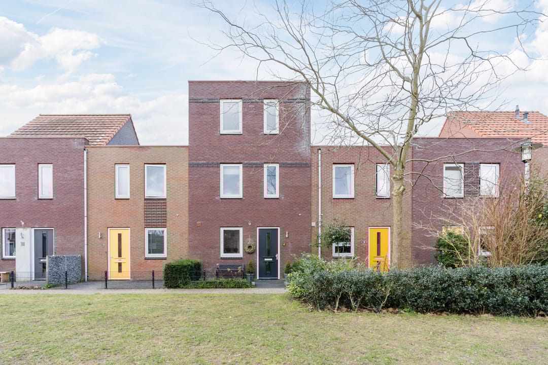 Foto 52 van Citroenvlinder 47