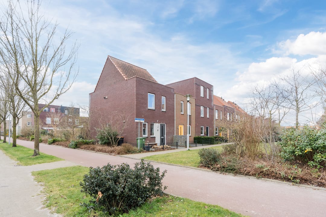 Foto 53 van Citroenvlinder 47