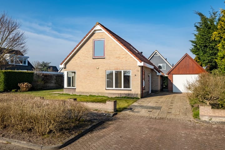 Photo 8 of It String 39