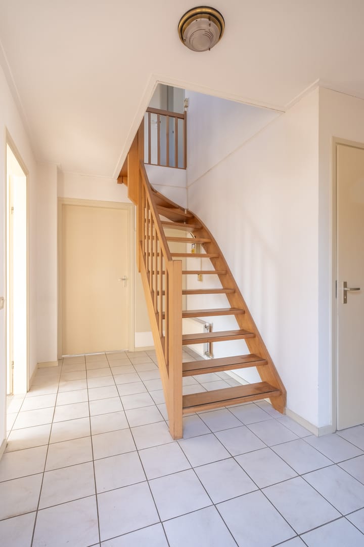 Photo 13 of It String 39