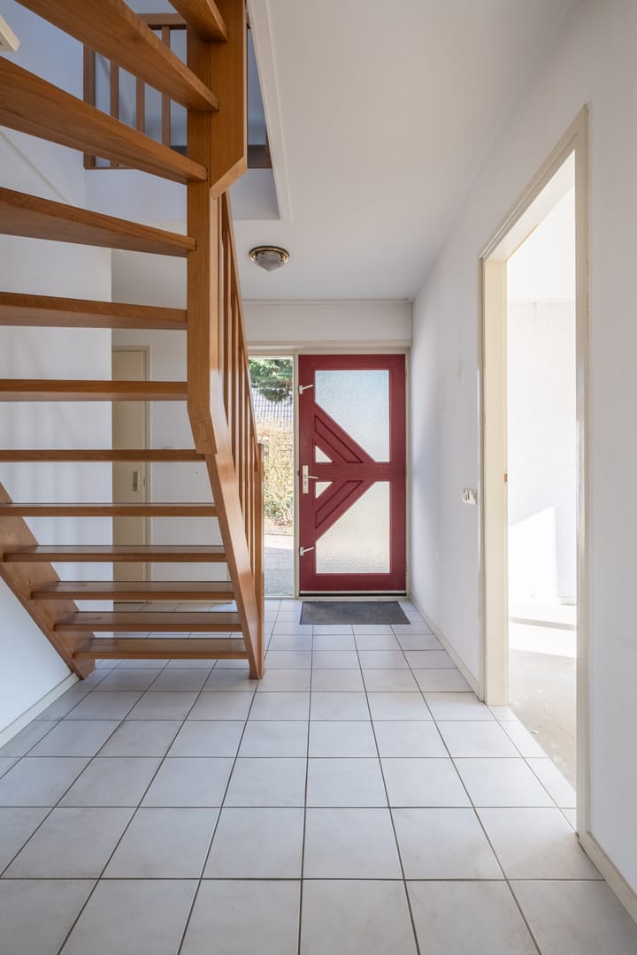 Photo 14 of It String 39