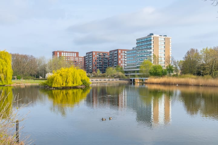 Foto 34 van Struyckenlaan 20