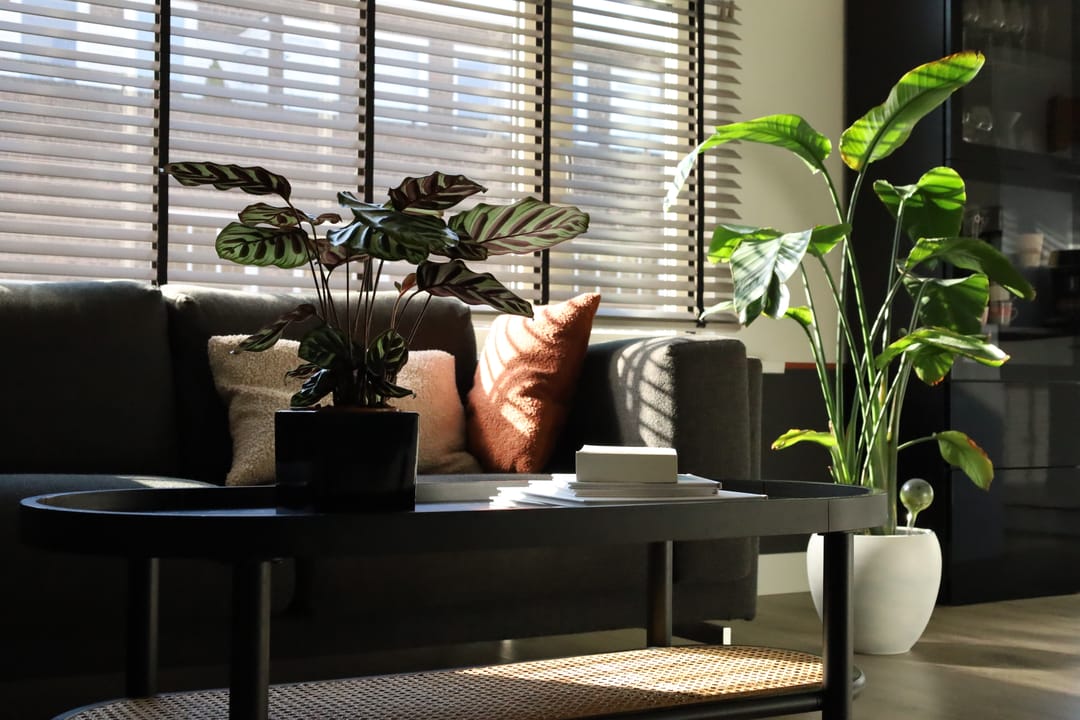 Foto 11 van Van der Dussenstraat 13-B02