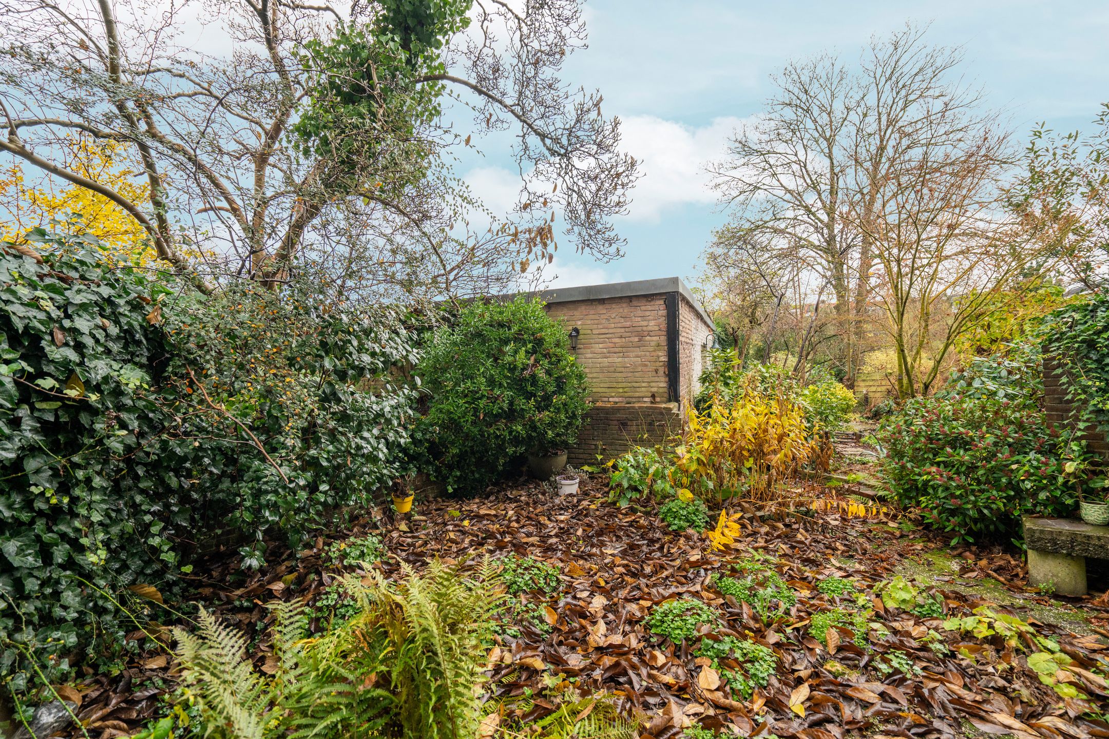 Foto 51 van Groesbeekseweg 151