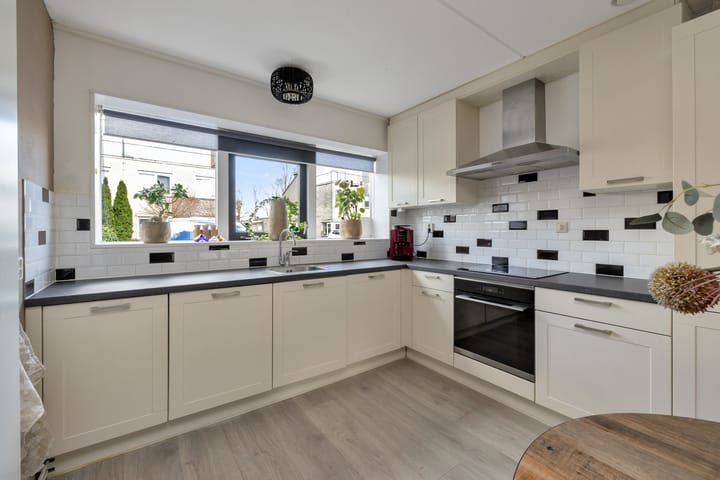 Foto 3 van Rosa Spierplantsoen 153