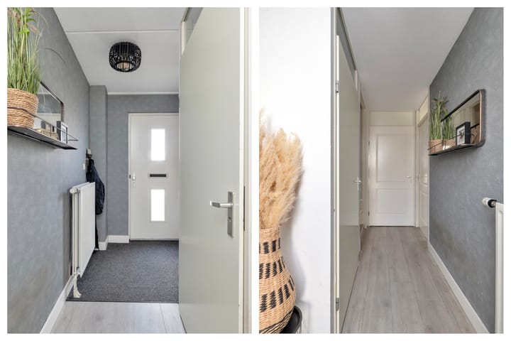 Foto 5 van Rosa Spierplantsoen 153