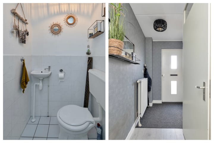 Foto 6 van Rosa Spierplantsoen 153