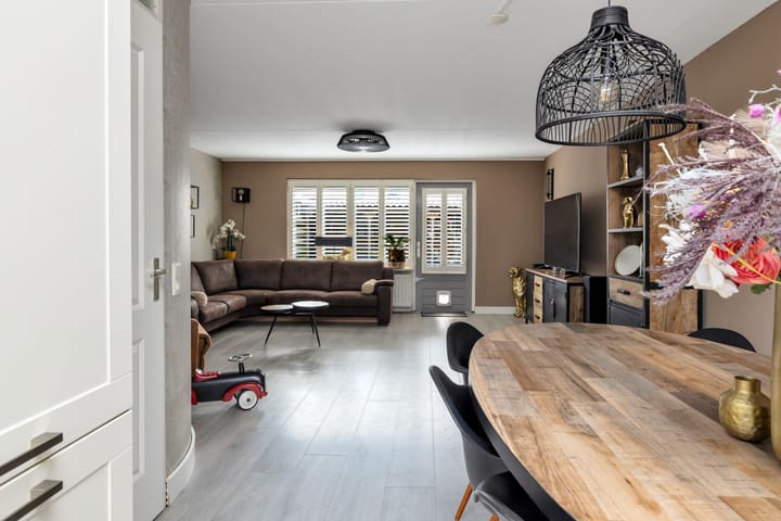 Foto 10 van Rosa Spierplantsoen 153