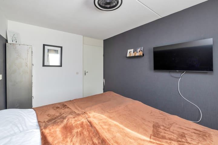 Foto 22 van Rosa Spierplantsoen 153