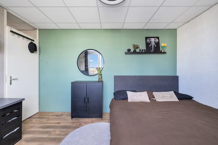 Foto 26 van Rosa Spierplantsoen 153