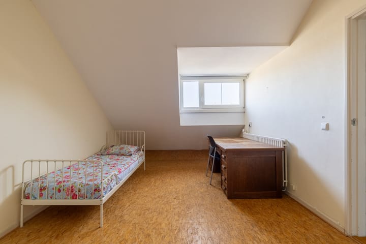 Foto 4 van Hillenraadstraat 17