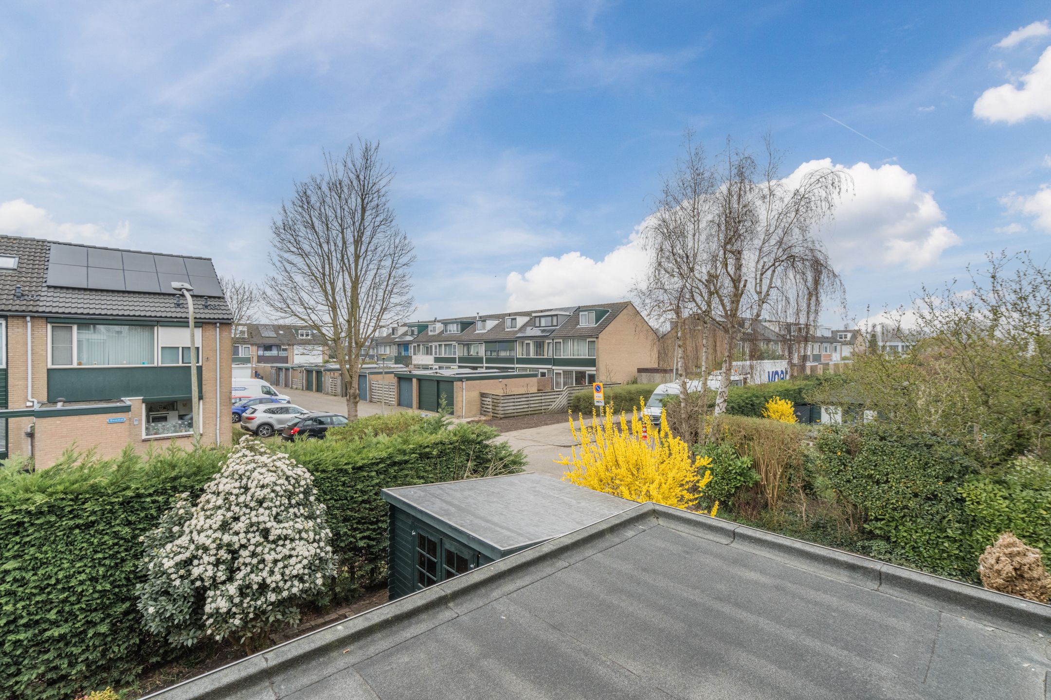 Foto 36 van Weegbree 39