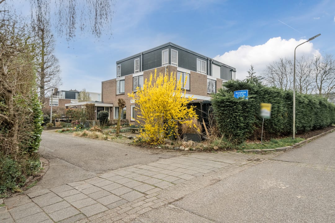 Foto 46 van Weegbree 39