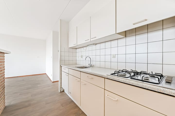 Photo 13 of Leeuwenberg 4