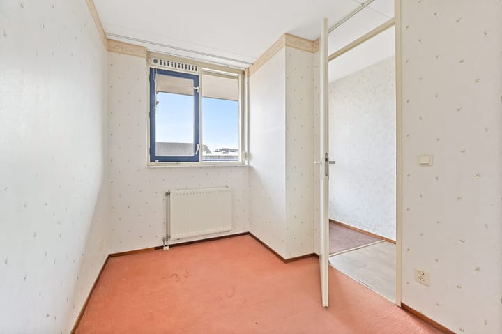 Photo 15 of Leeuwenberg 4