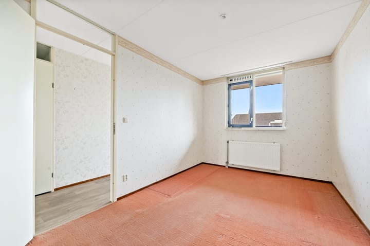 Photo 24 of Leeuwenberg 4