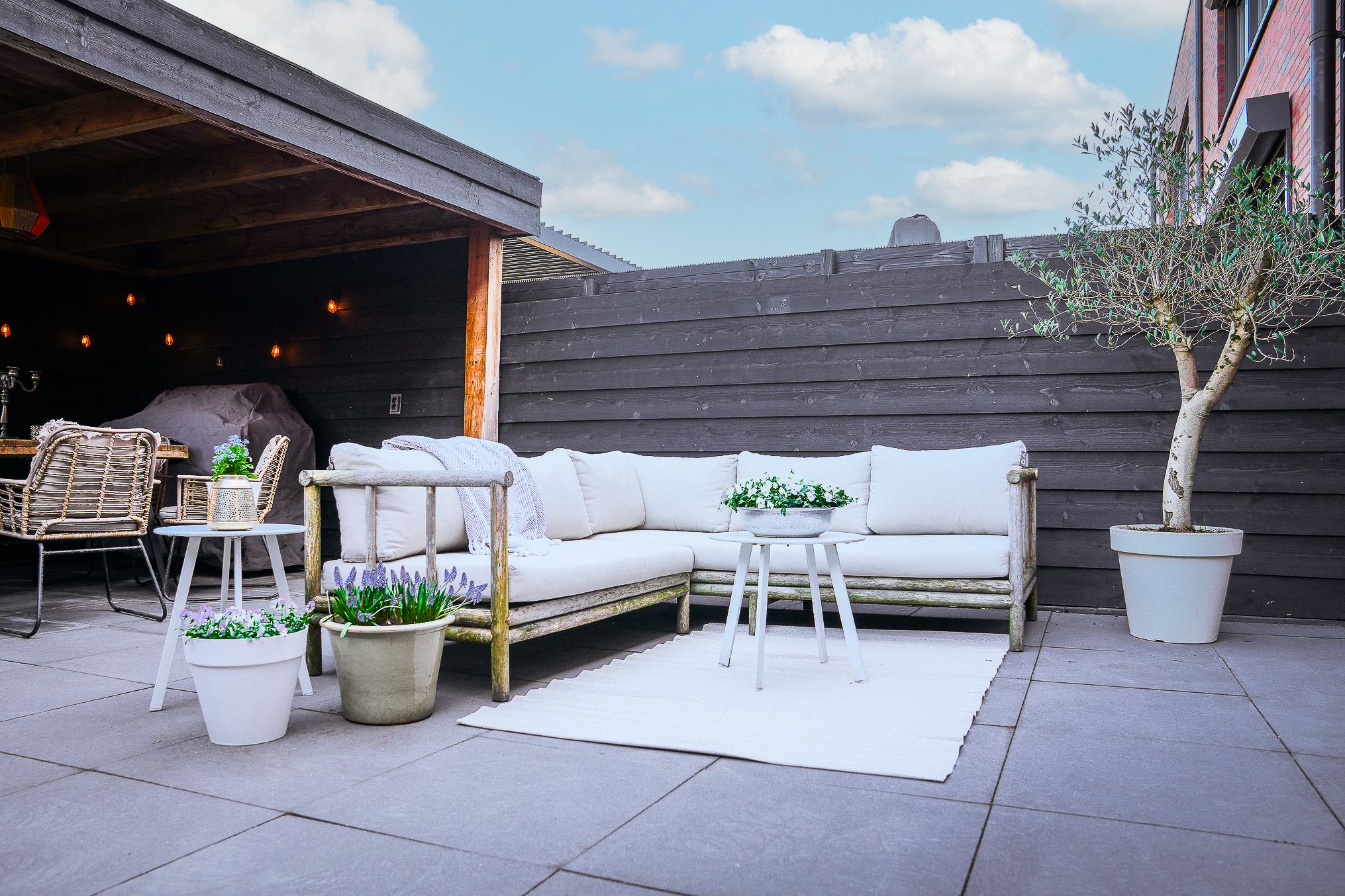 Foto 24 van Maassingel 82