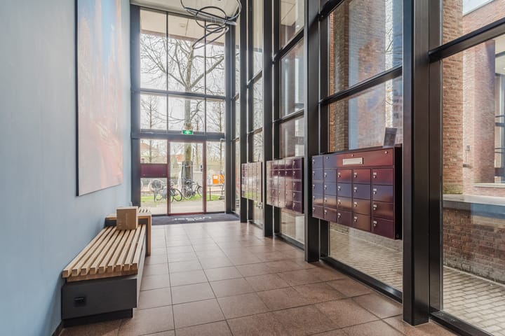 Foto 8 van Lichtstraat 301