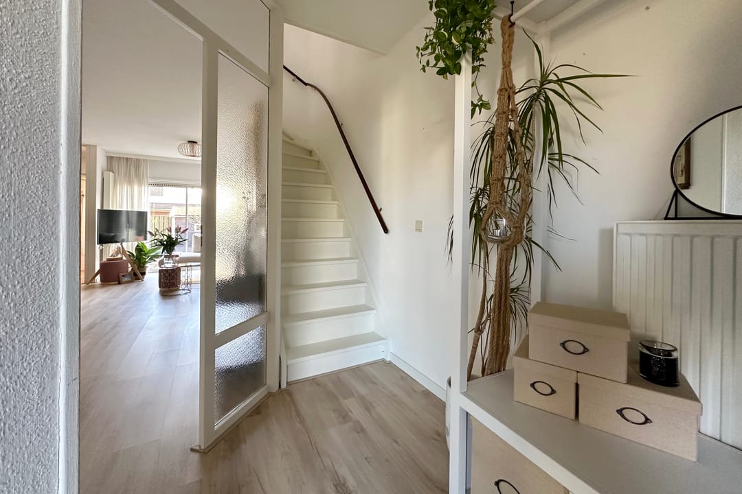 Photo 8 of Omloop 24