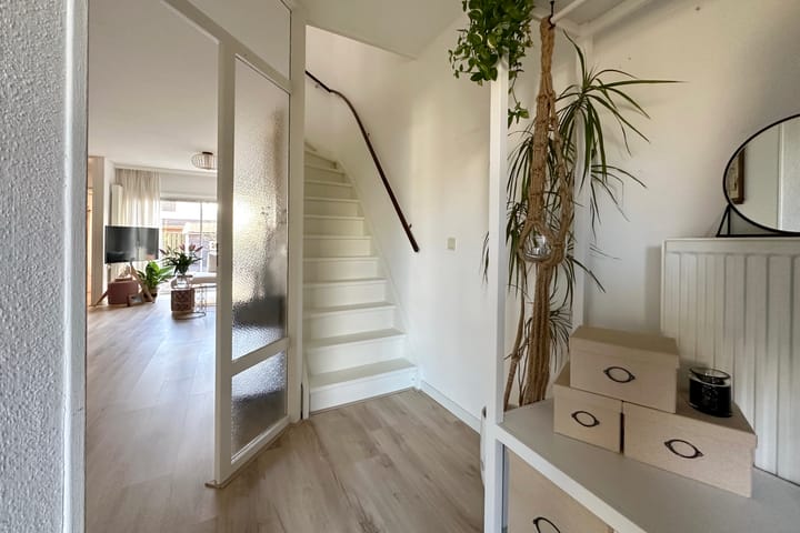 Photo 8 of Omloop 24