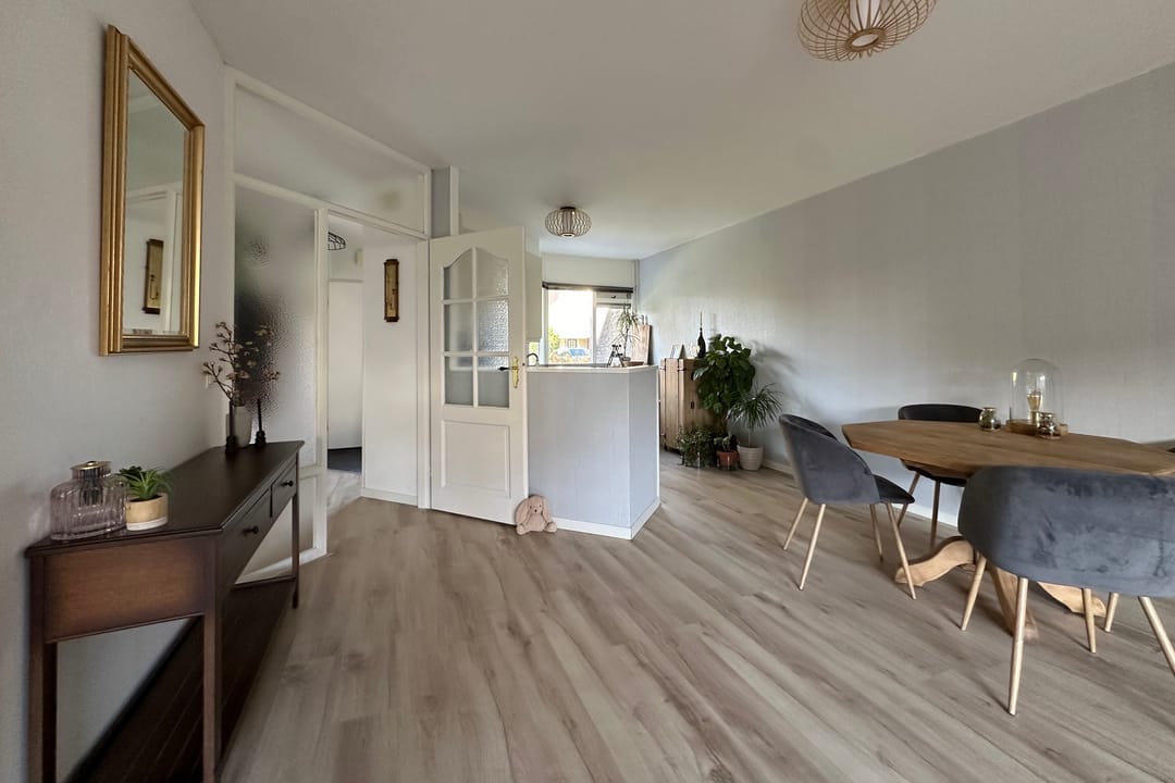 Photo 11 of Omloop 24