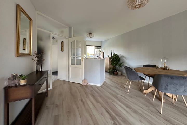 Photo 11 of Omloop 24