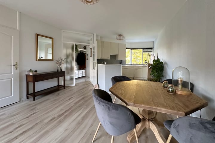 Photo 12 of Omloop 24