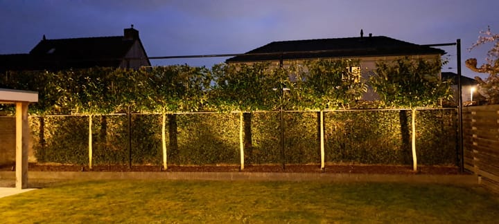 Foto 59 van Meikers 12