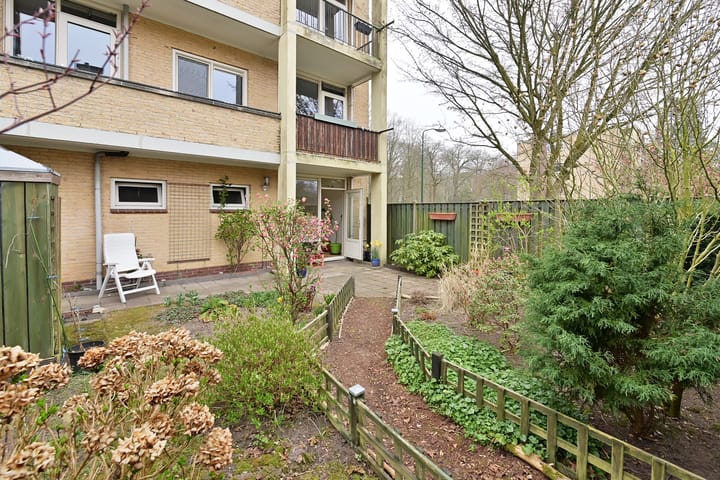 Photo 2 of Colenso 63