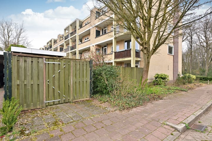 Photo 3 of Colenso 63