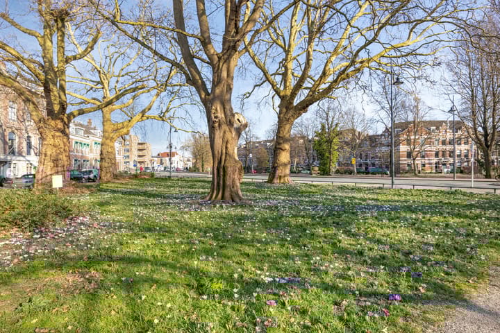 Foto 16 van Hogewoerd 141