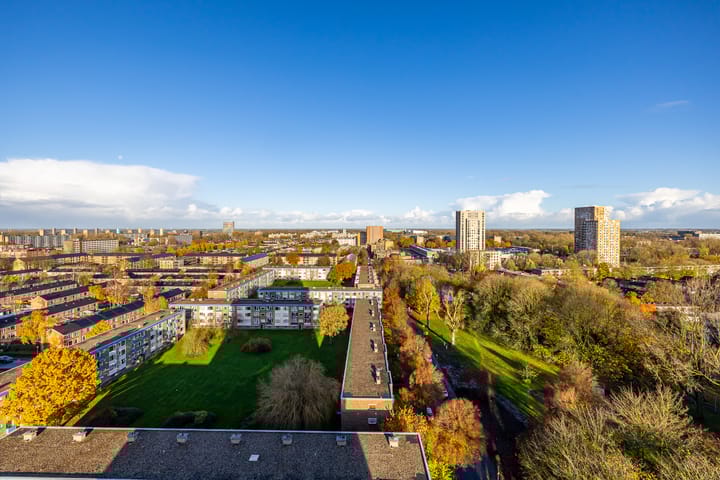 Foto 43 van Grote Beerstraat 173-59