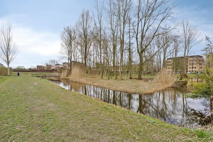 Foto 38 van Mauritssingel 110