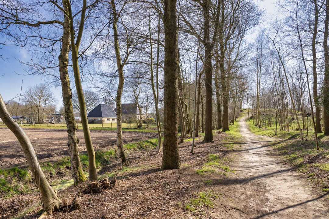 Foto 43 van Jeen Hornstraweg 1