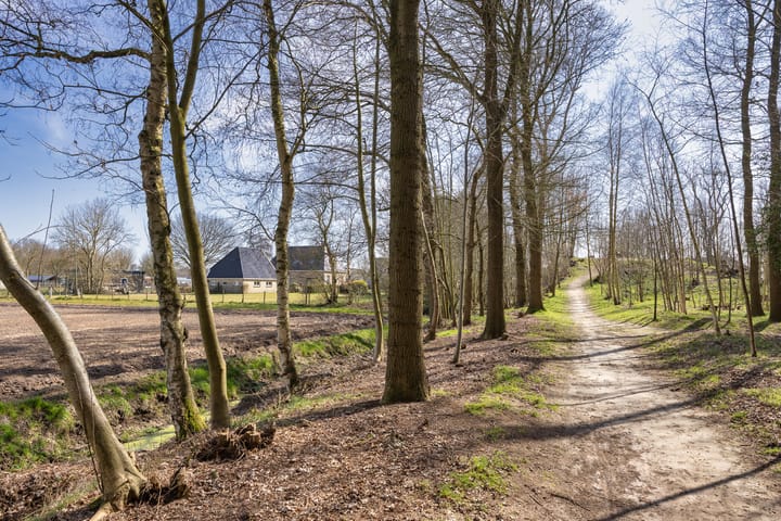 Foto 43 van Jeen Hornstraweg 1