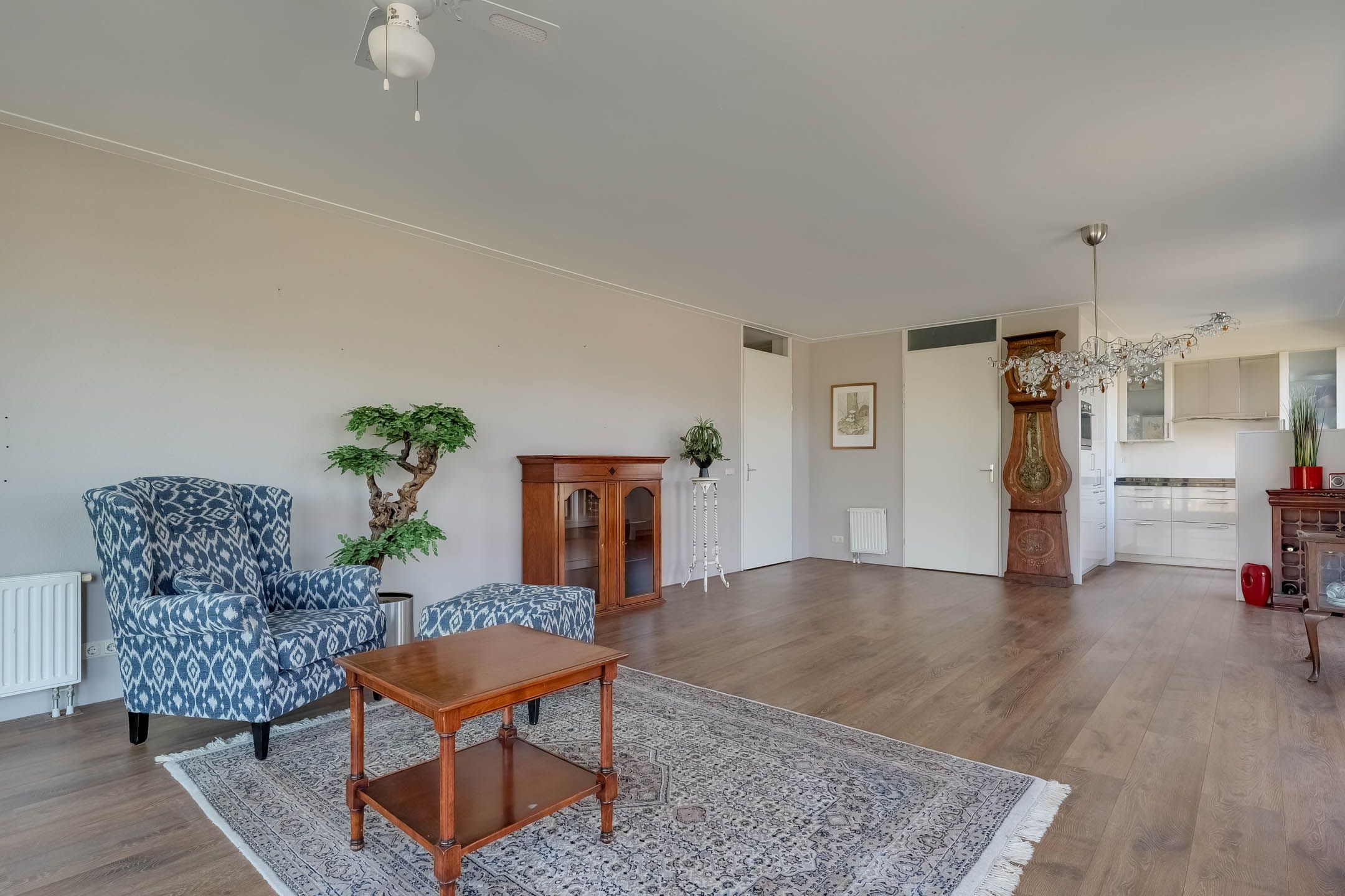 Foto 3 van IJsvogel 18