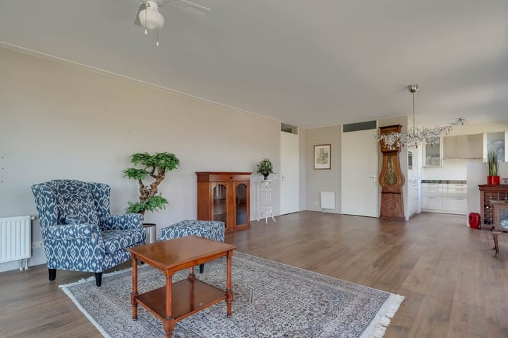 Foto 3 van IJsvogel 18