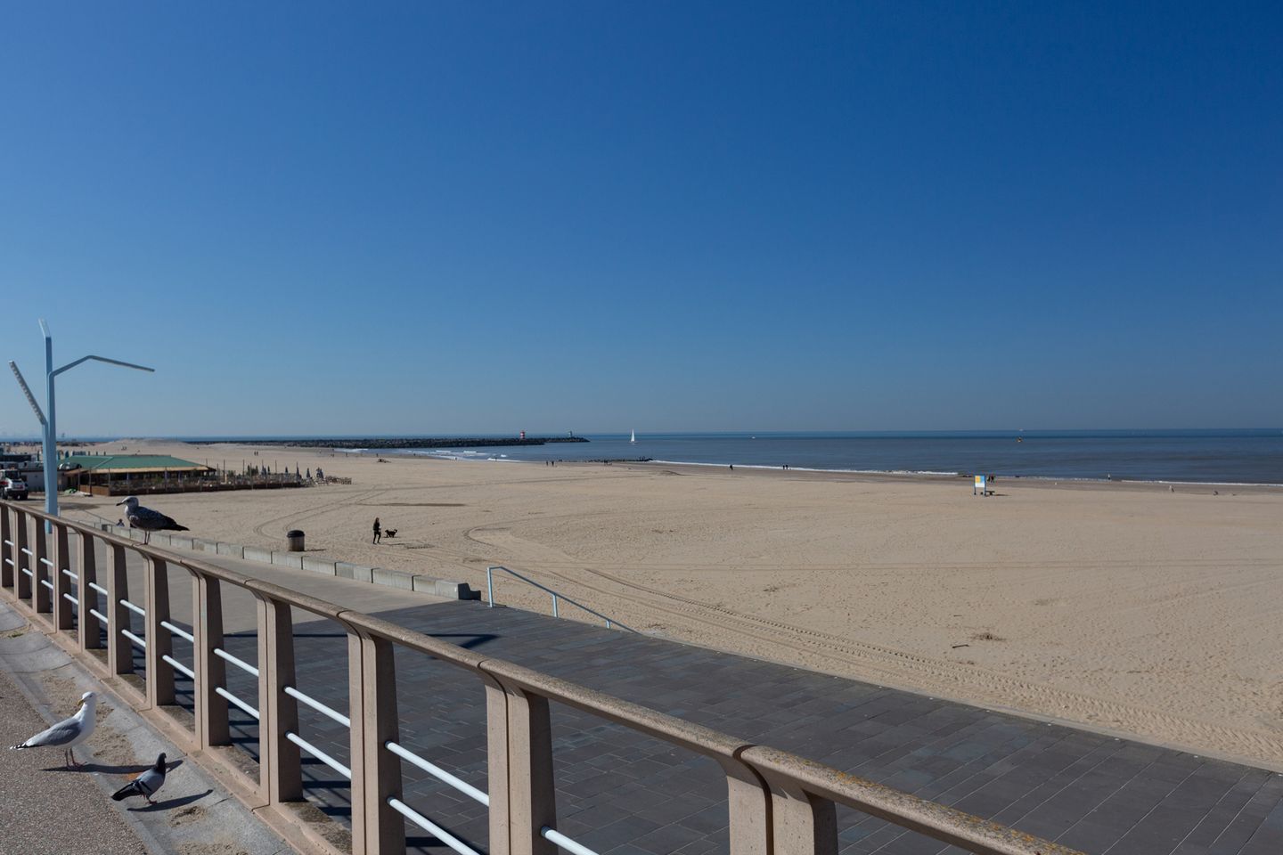 Foto 19 van Zeeruststraat 88