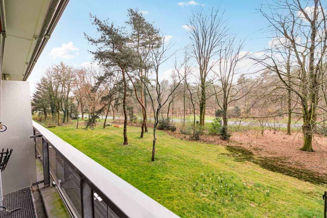 Foto 2 van Laan van Vollenhove 2543