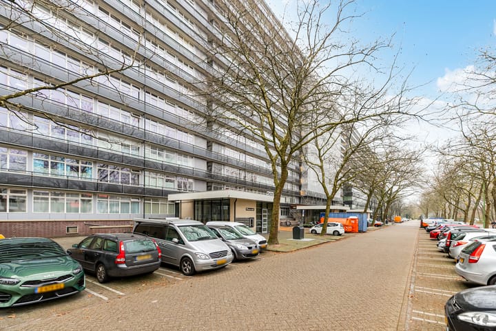 Foto 3 van Laan van Vollenhove 2543