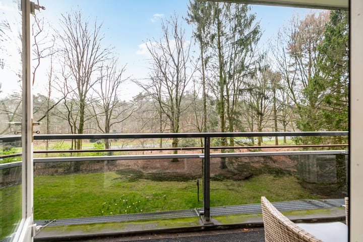 Foto 9 van Laan van Vollenhove 2543