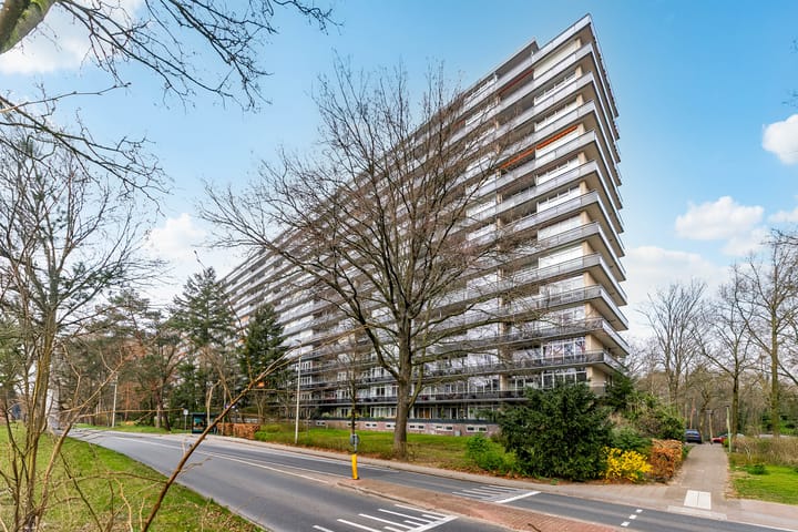 Foto 30 van Laan van Vollenhove 2543