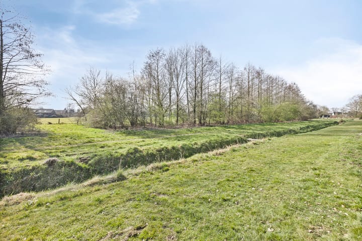 Foto 40 van Kruidnagel 14