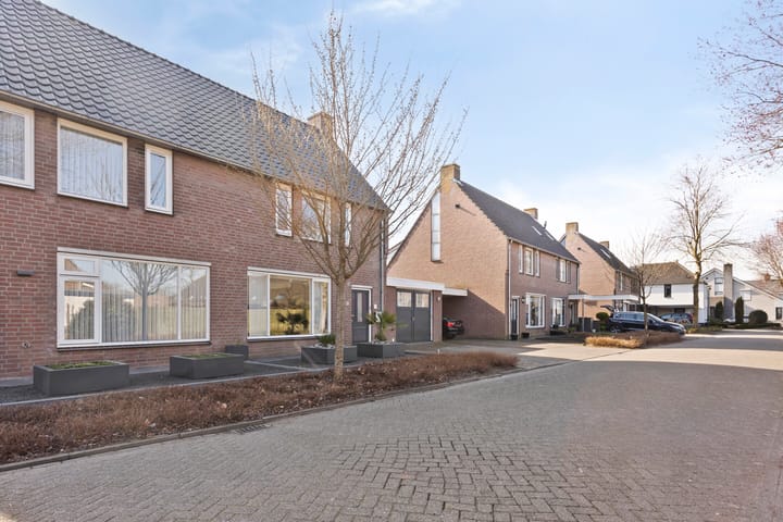 Foto 45 van Kruidnagel 14