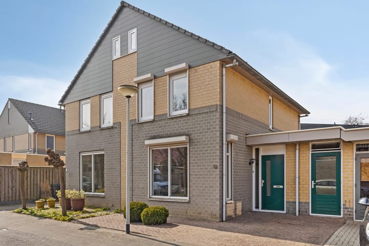 Foto 1 van Paardebloem 42