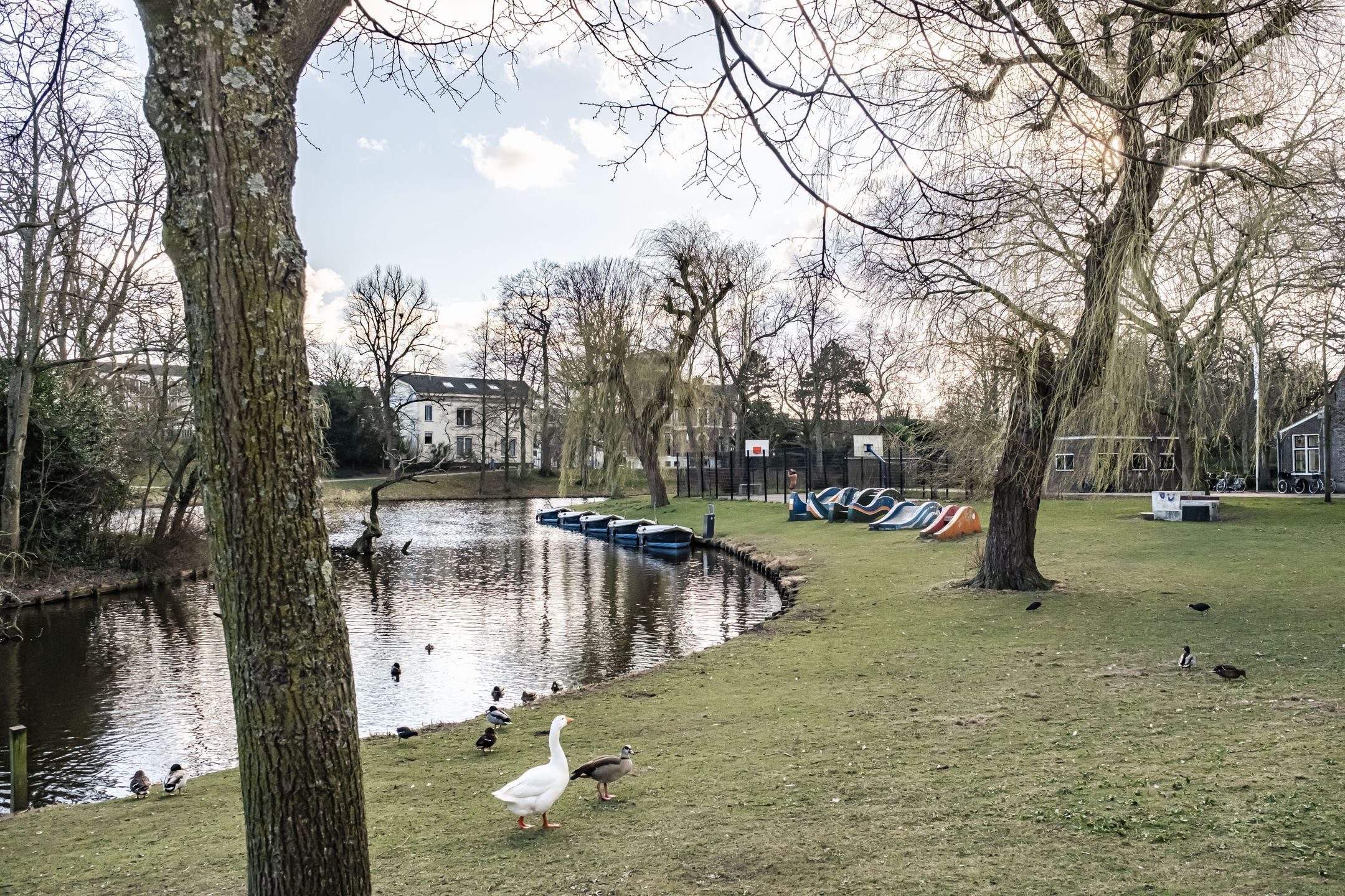 Foto 33 van Berckheydestraat 27-RD