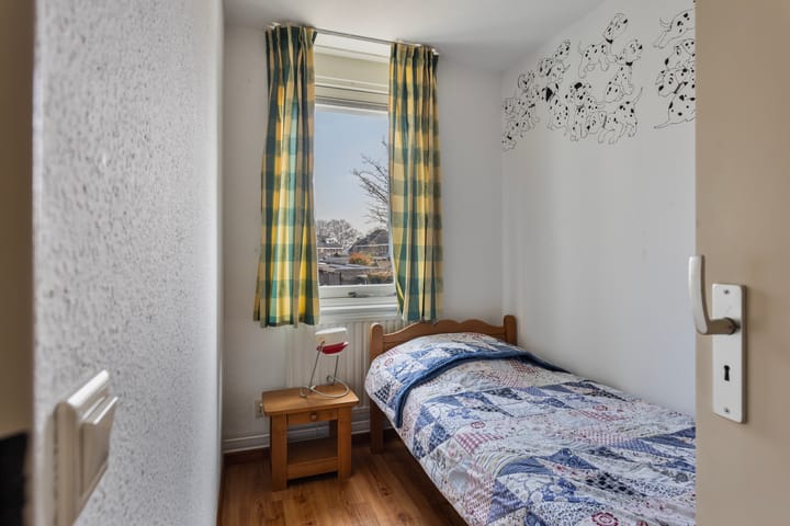 Foto 18 van Paardebloem 42