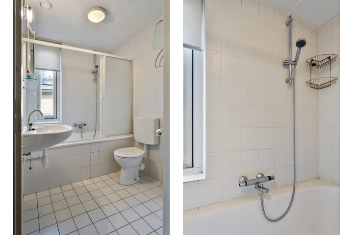 Foto 20 van Paardebloem 42