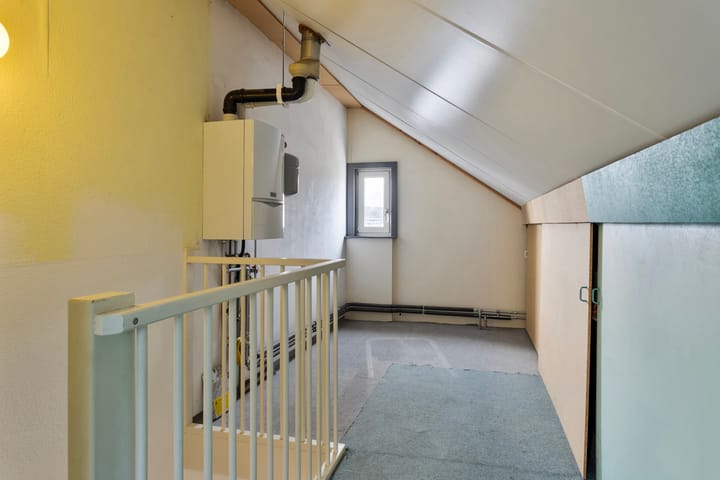 Foto 22 van Paardebloem 42