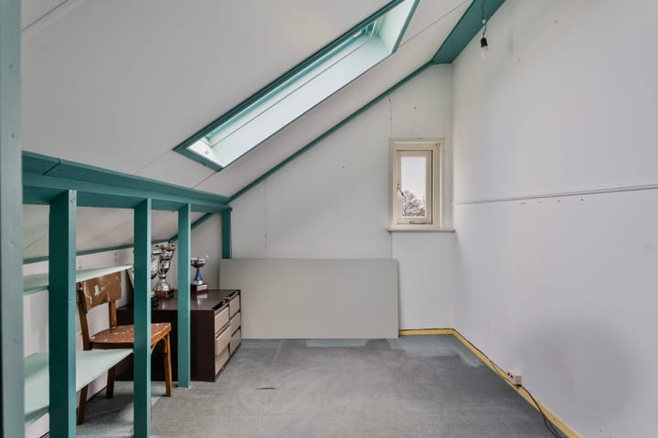 Foto 24 van Paardebloem 42